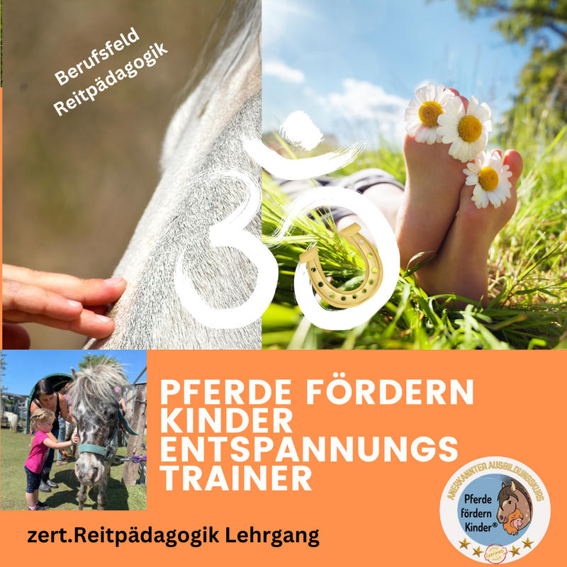 PfK Entspannungstrainer