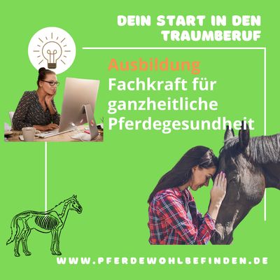 Fachkraft für ganzheitliche Pferdegesundheit