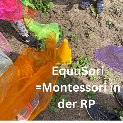 EquuSori Trainer Lehrgang aufgezeichnet