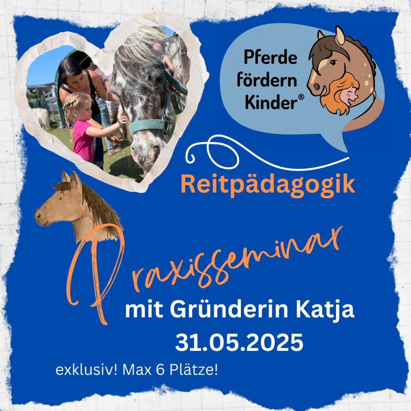 Reitpädagogik Praxisseminar mit Gründerin Katja in Ramsen 31.05.2025