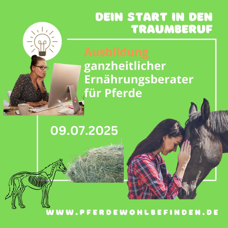 Ganzheitlicher Ernährungsberater Pferde