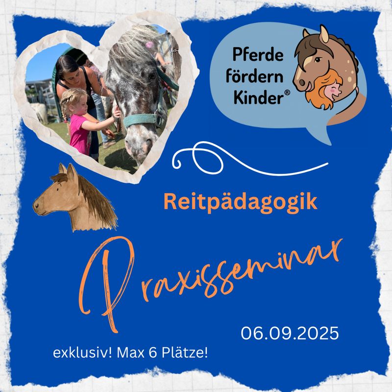 Reitpädagogik Praxisseminar 05.09.2025 September