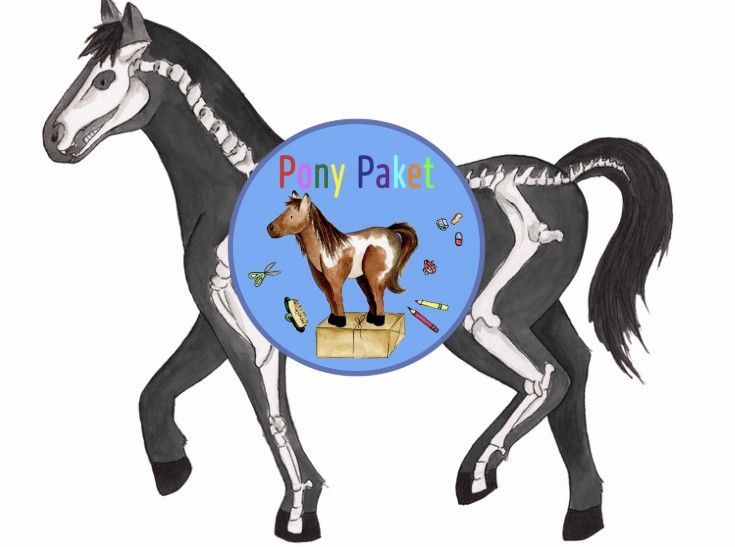 Pony Paket Halloween 2025 - es wird schaurig