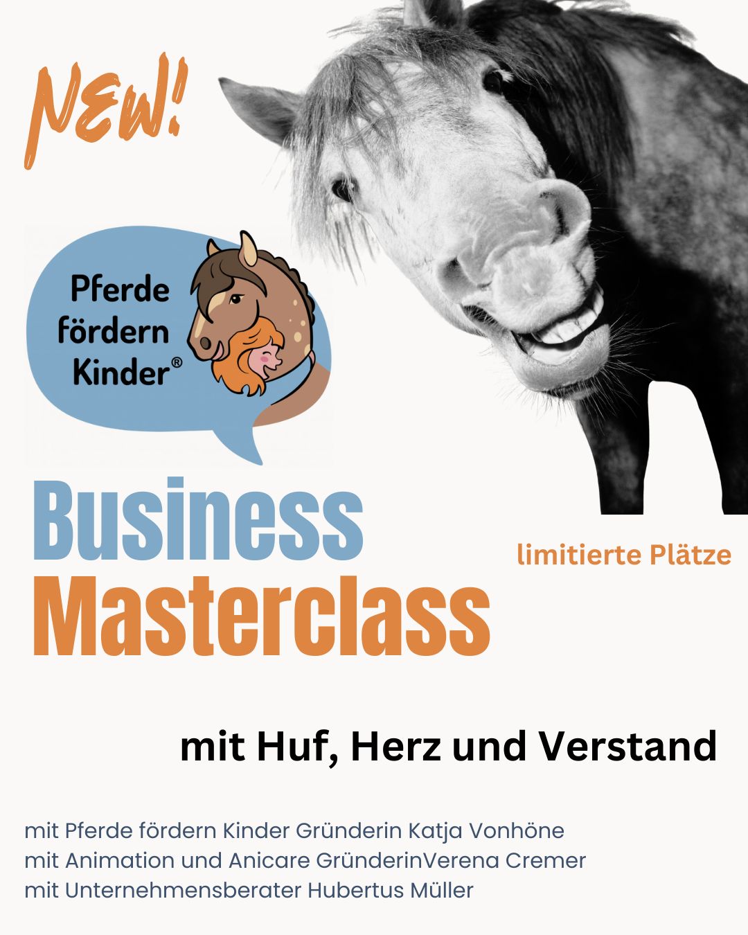 PfK Business Masterclass Start 12.11.2025