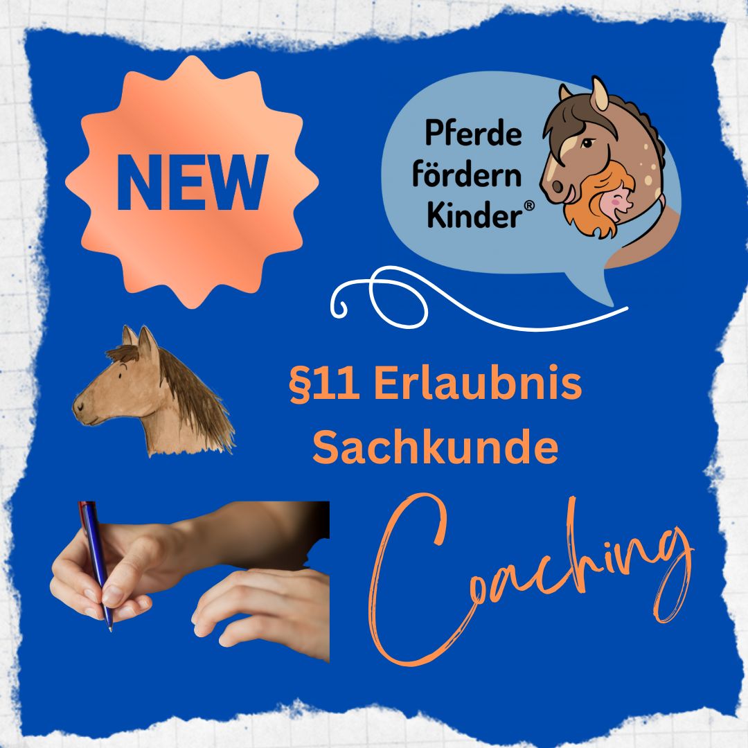 Paragraf 11 1:1 Coaching