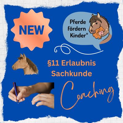 Paragraf 11 1:1 Coaching