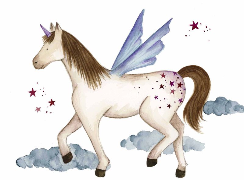 Pony Paket - Dunkler Zauber im Einhornland