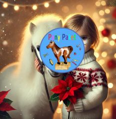 Pony Paket "Laura und das Weihnachtswunder"