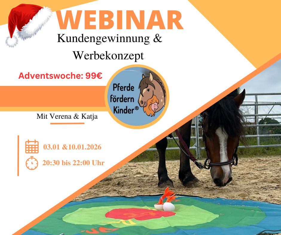 Webinar Kundengewinnung und Werbekonzept