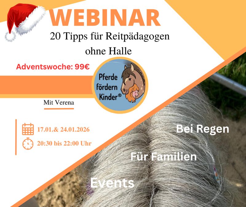 Webinar Webinar " 20 Tipps für Reitpädagogen ohne Halle"