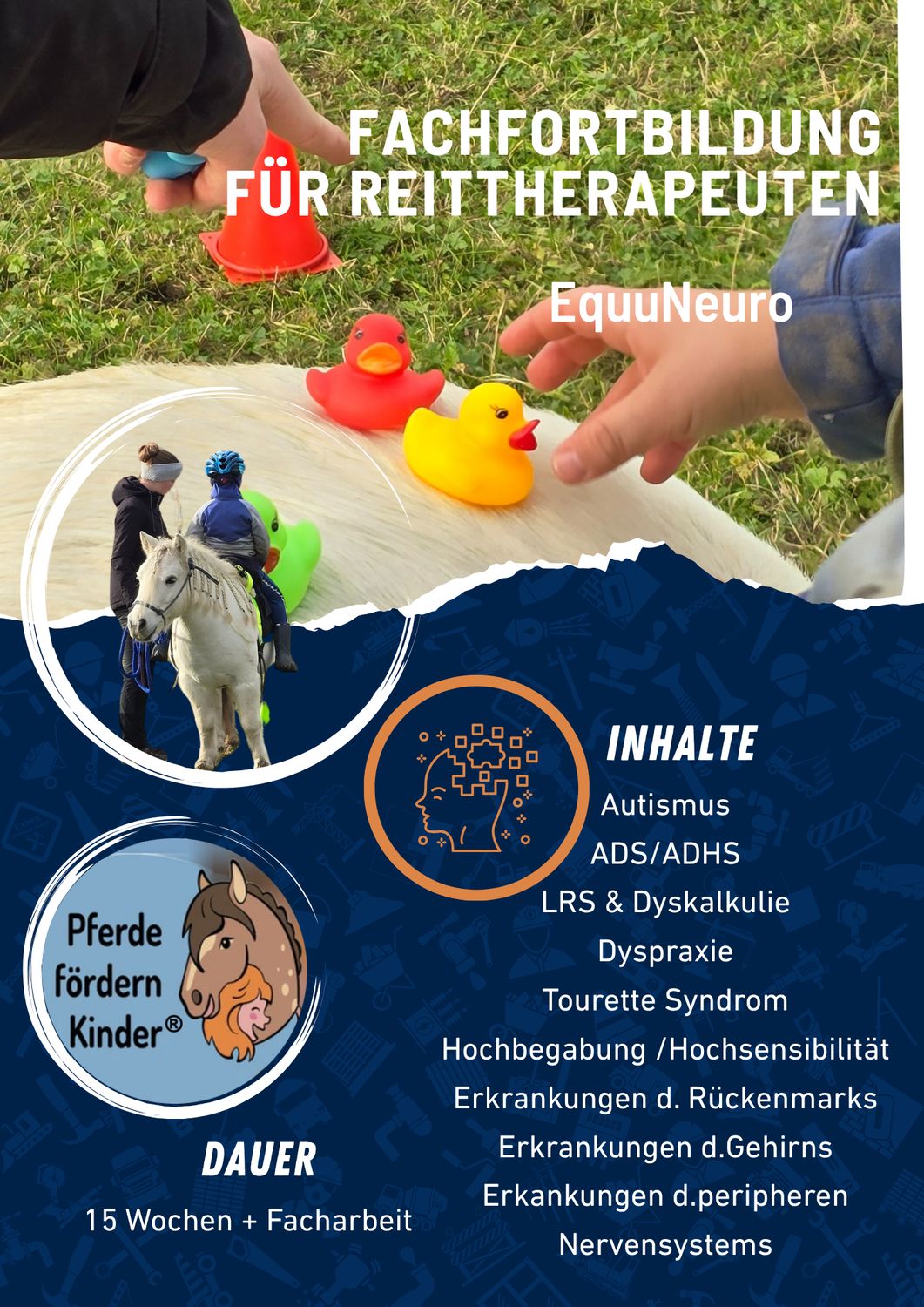 EquuNeuro - Fachfortbildung für Reittherapeut/innen Start 26.08.2026
