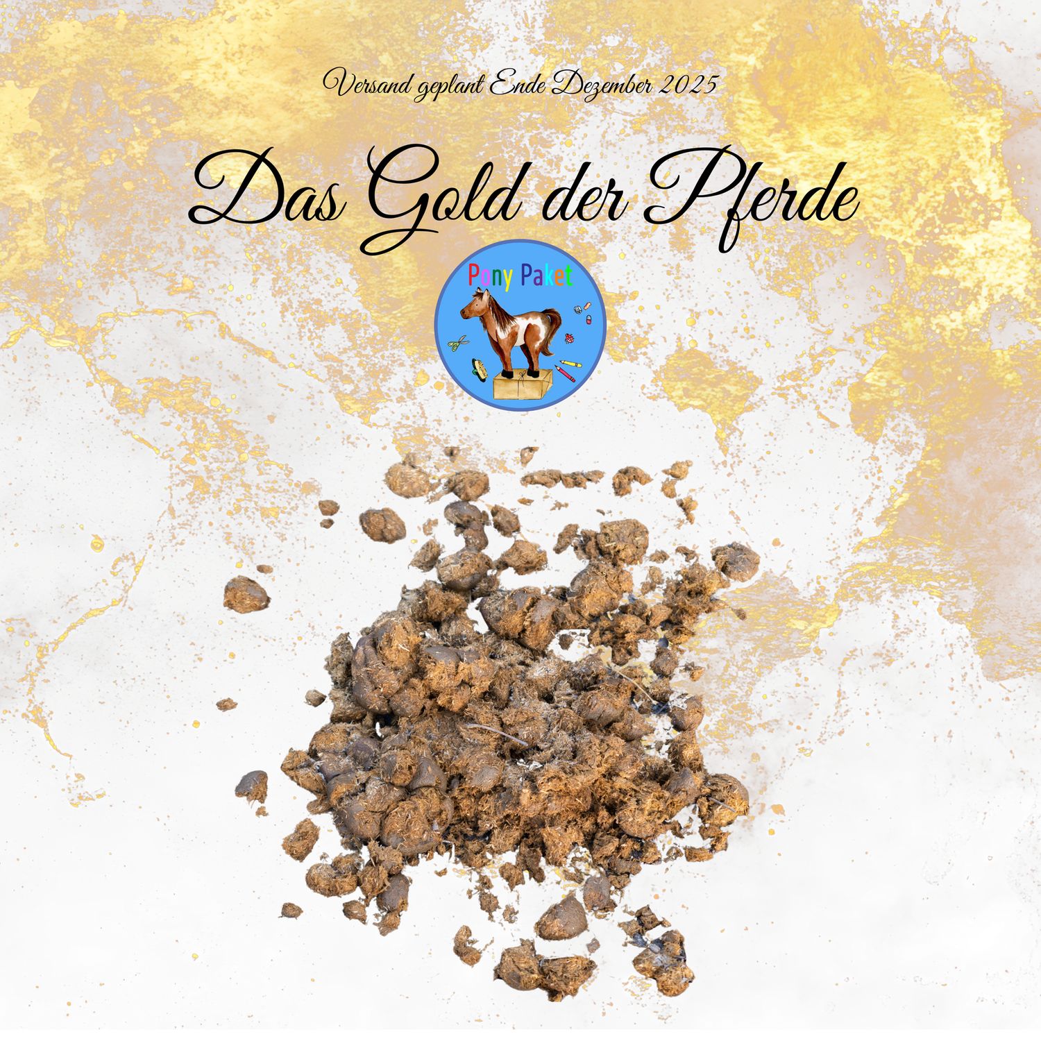 Pony Paket Pony Paket "Das Gold der Pferde" Versand Ende Dezember 2025