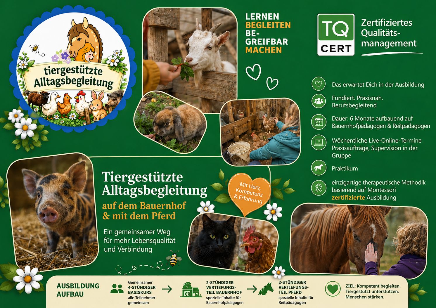 Tiergestützte Alltagsbegleitung Tiergestützte Alltagsbegleitung