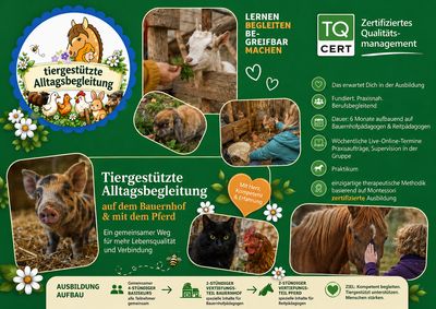 Tiergestützte Alltagsbegleitung Tiergestützte Alltagsbegleitung