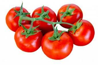 TOMATE RAMA KG