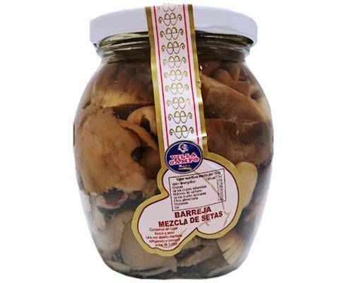 MEZCLA SETAS VILLACAMPO T/580 ML.