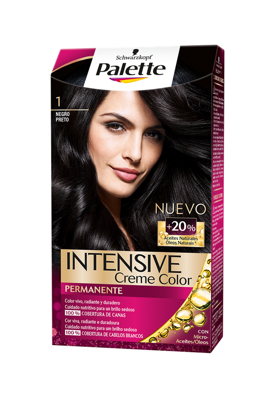 TINTE PALETTE ICC 1 NEGRO