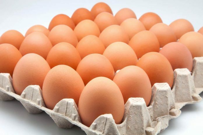 HUEVOS XL EL PINAR 12 UND