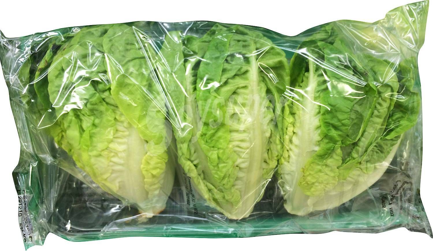 LECHUGA BABY 3 COGOLLOS
