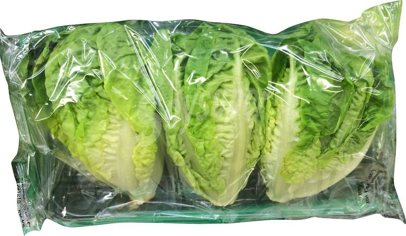 LECHUGA BABY 3 COGOLLOS