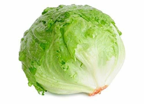 LECHUGA ICEBERG UND