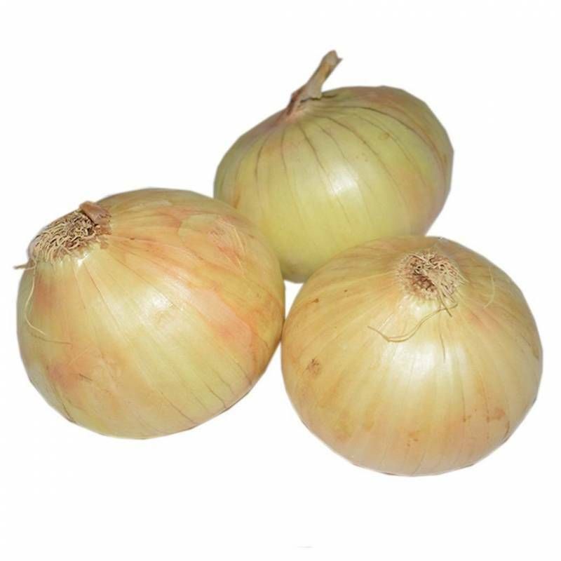 CEBOLLA DULCE KG.