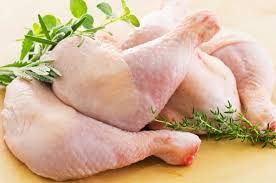 Pollo