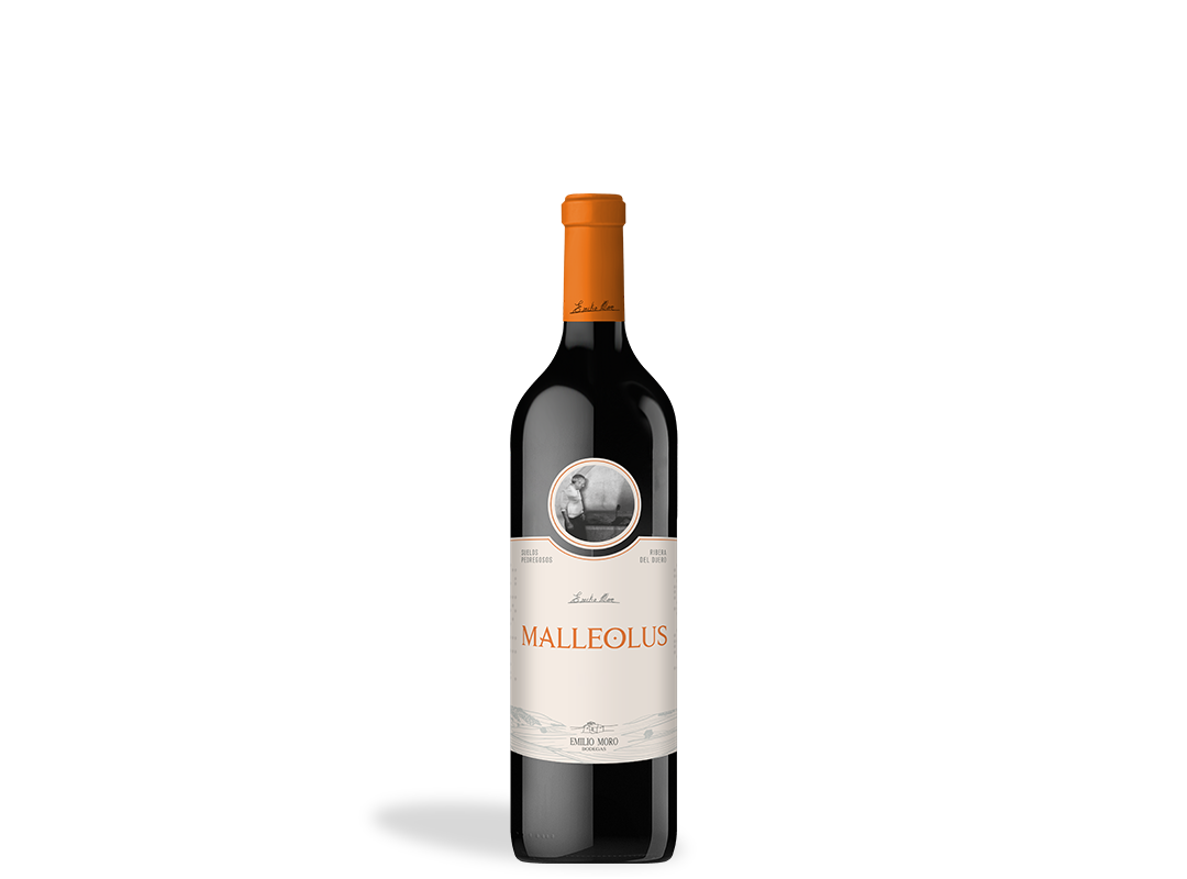 VINO TINTO MALLEOLUS 75 CL.