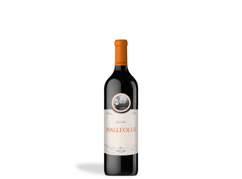 VINO TINTO MALLEOLUS 75 CL.