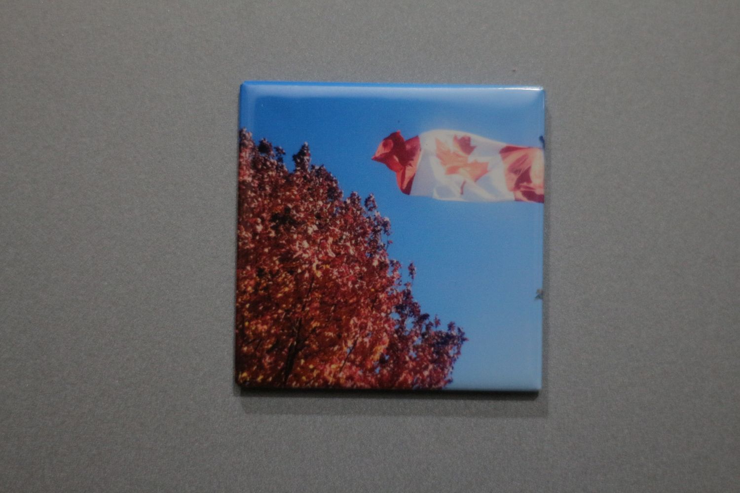 Single Image on 9 magnets