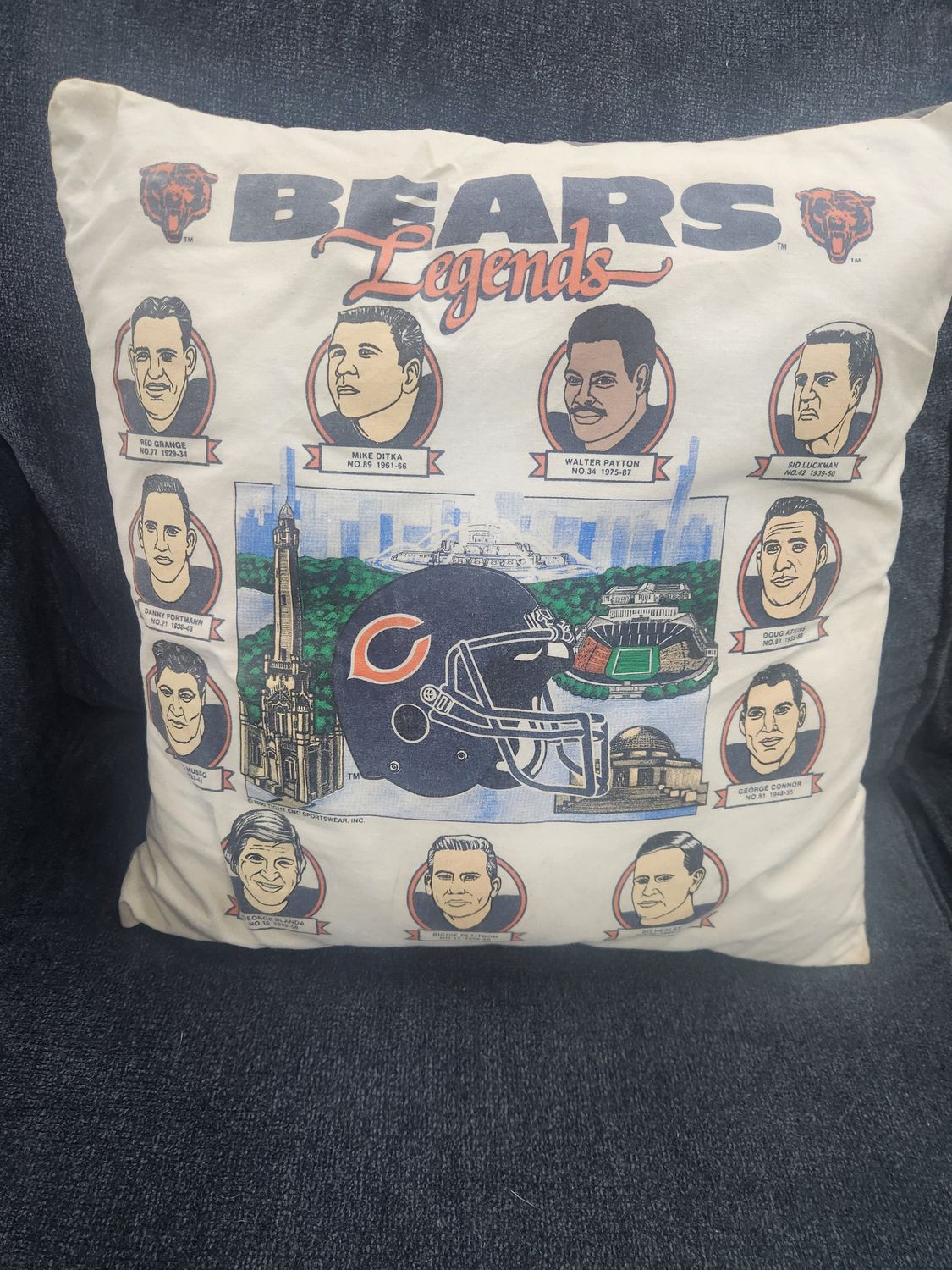 Vintage Chicago Bears Legends Pillow 16" x 16"