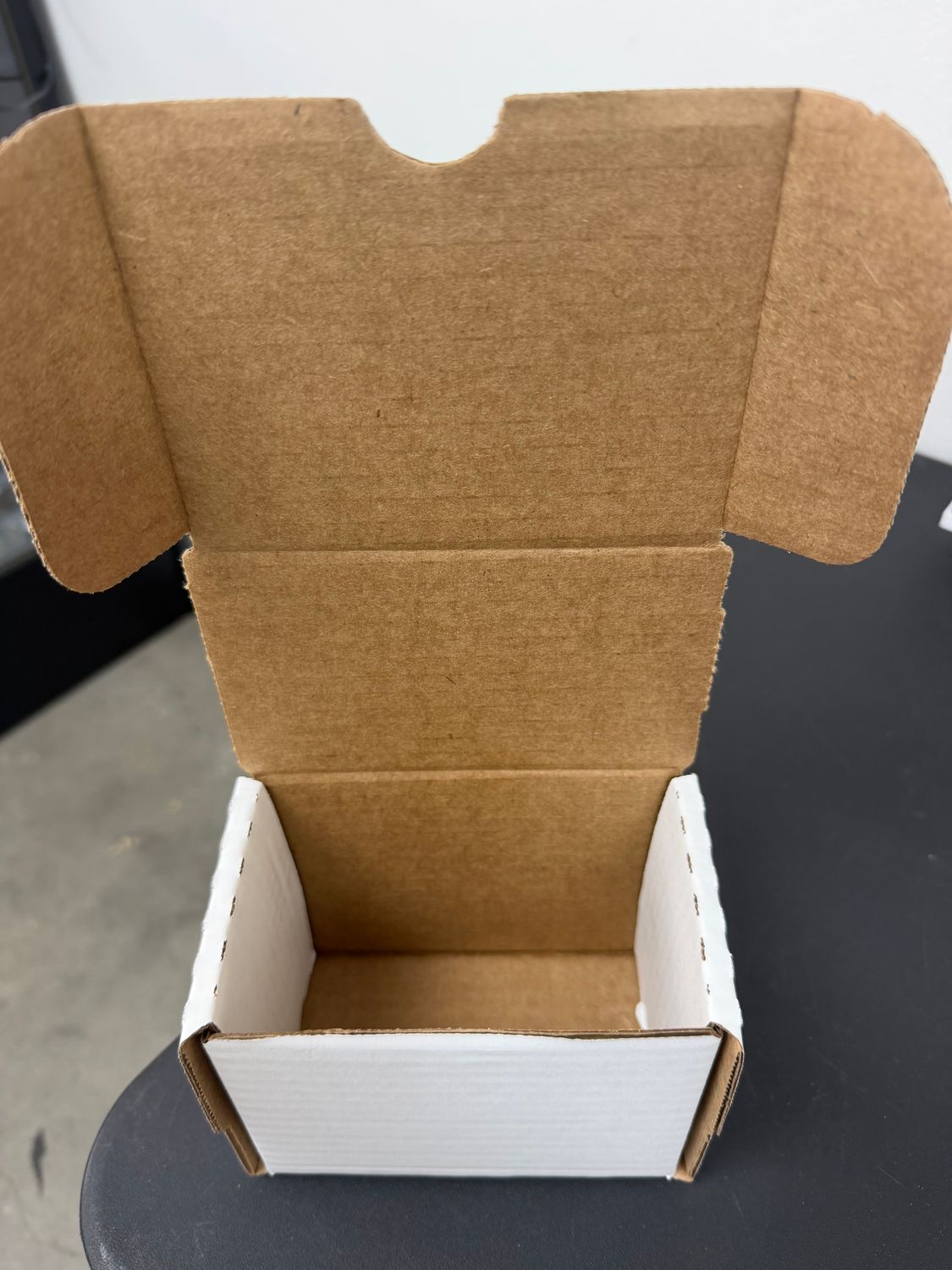 Top Loader 5" Storage Box BCW