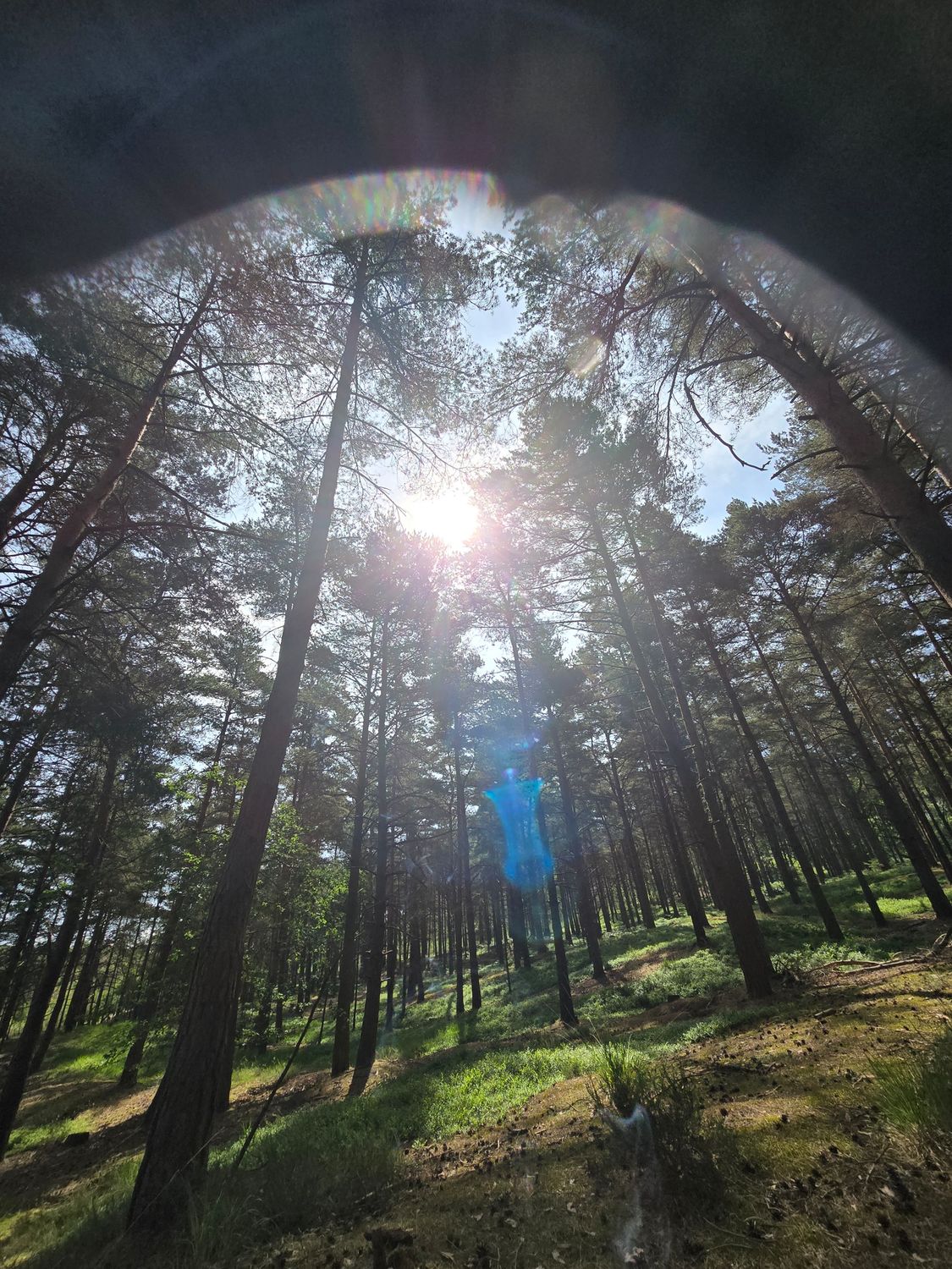 Limitless Flow Restore & Explore (Nature based)