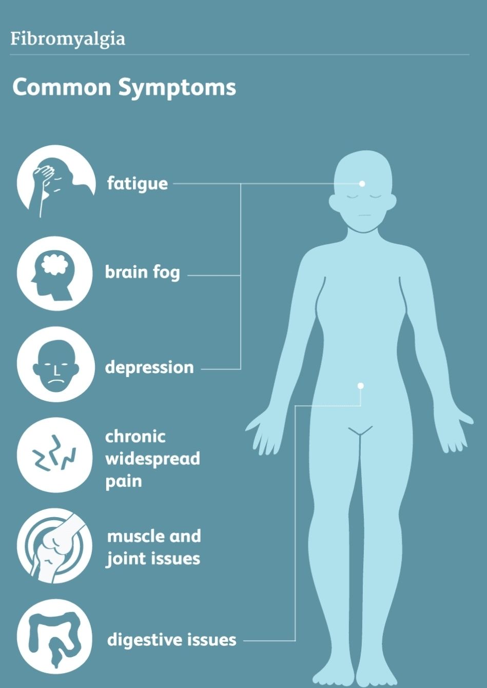 FibroFit