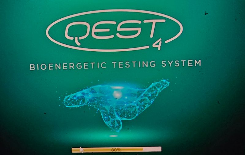 Bio Energetic Innate Intelligence Testing Double Profiling Package