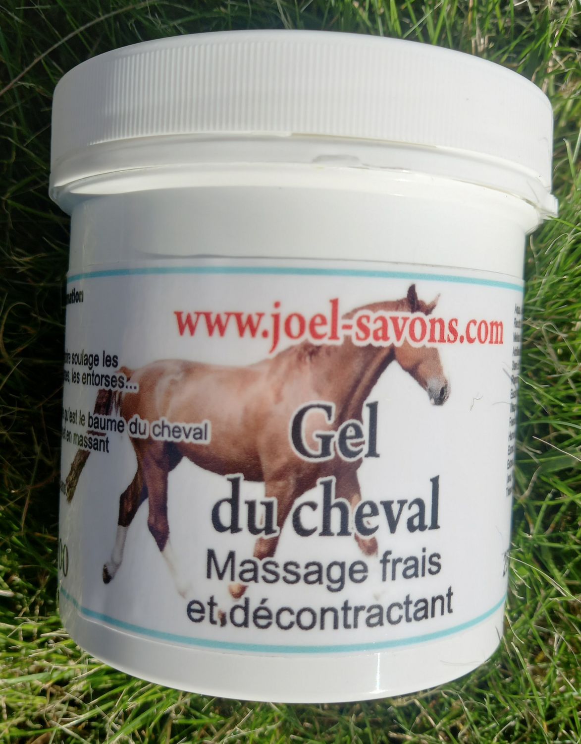 Gel du Cheval.