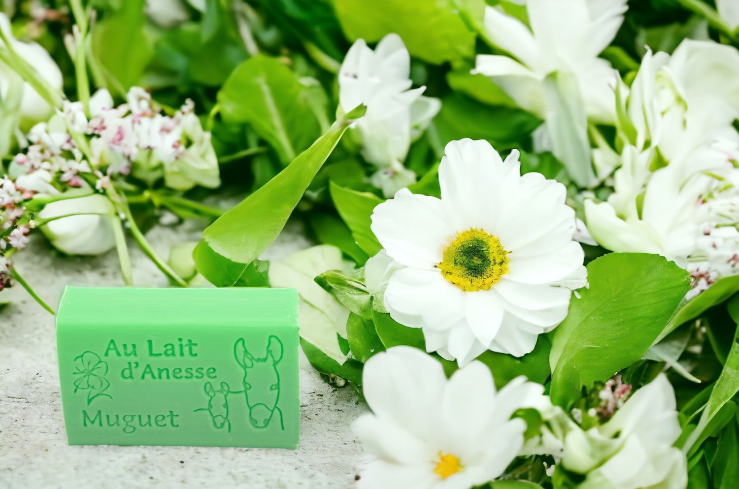 Savon enrichie de 8% de lait d'ânesse bio , parfumé au Muguet.