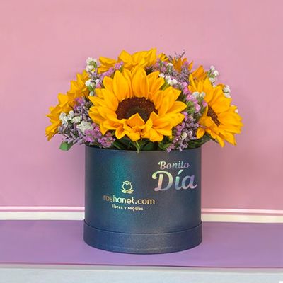 5 girasoles en caja