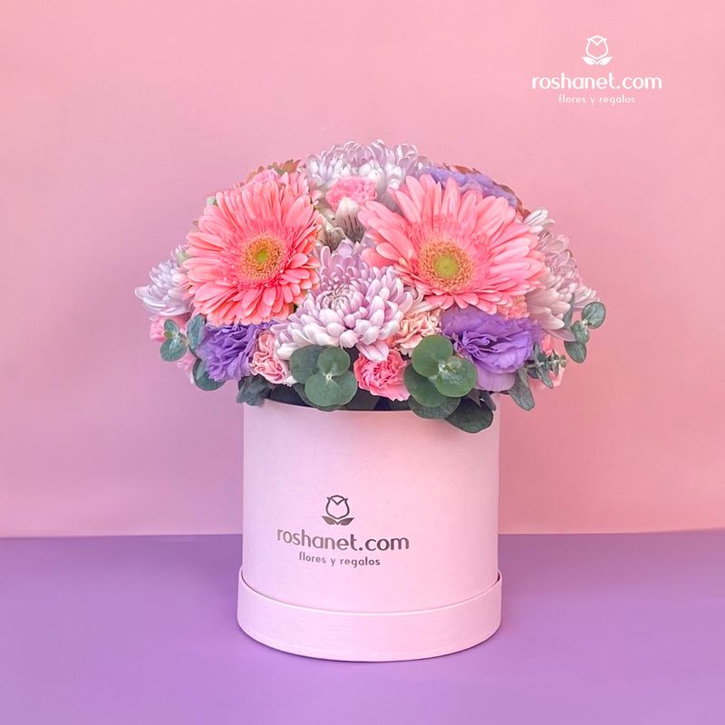 Caja con gerberas y 4 rosas fiushas (florecitas lilas)