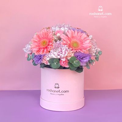 Caja con gerberas y 4 rosas fiushas (florecitas lilas)