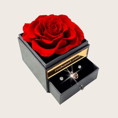 ROSA PRESERVADA