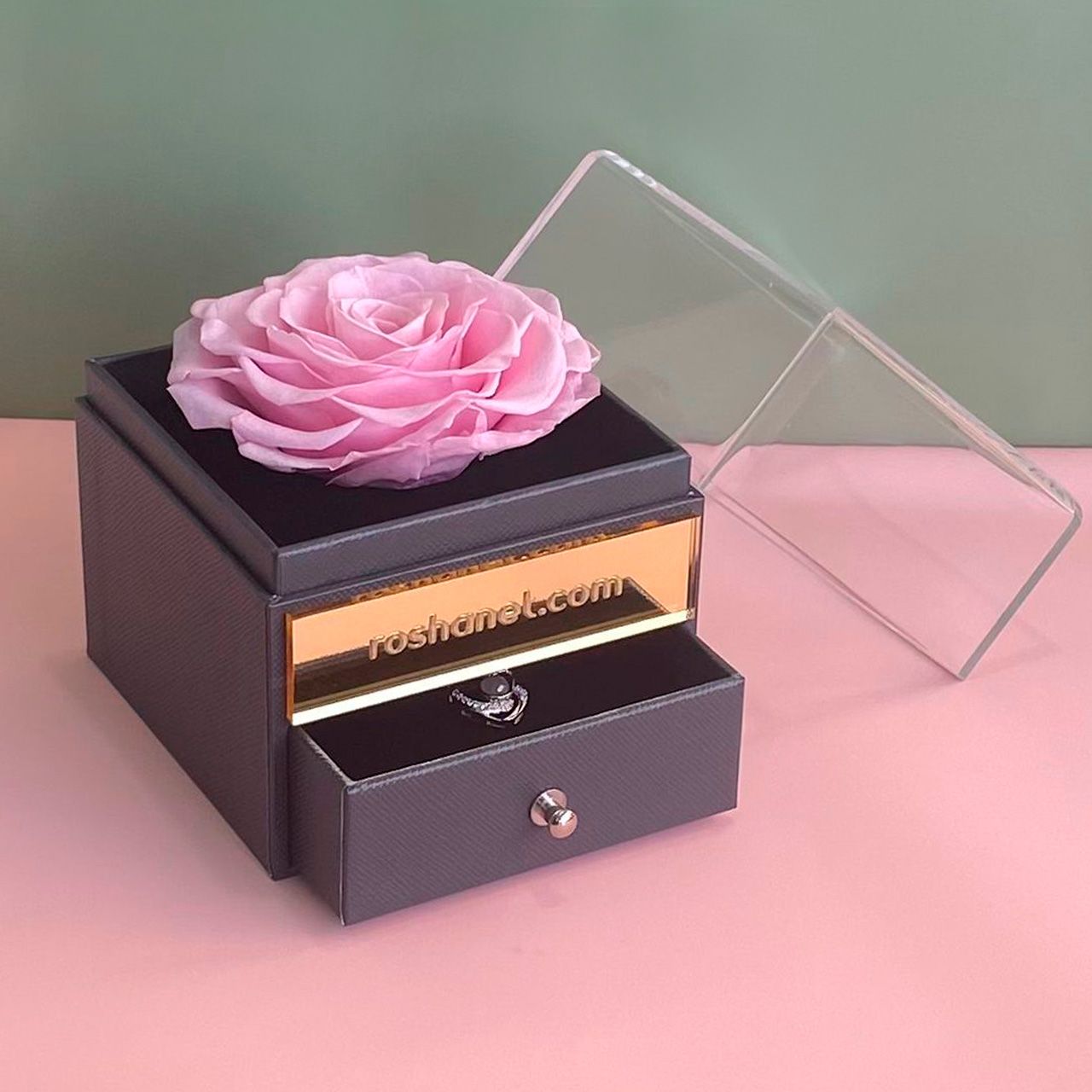 Rosa Rosada Preservada