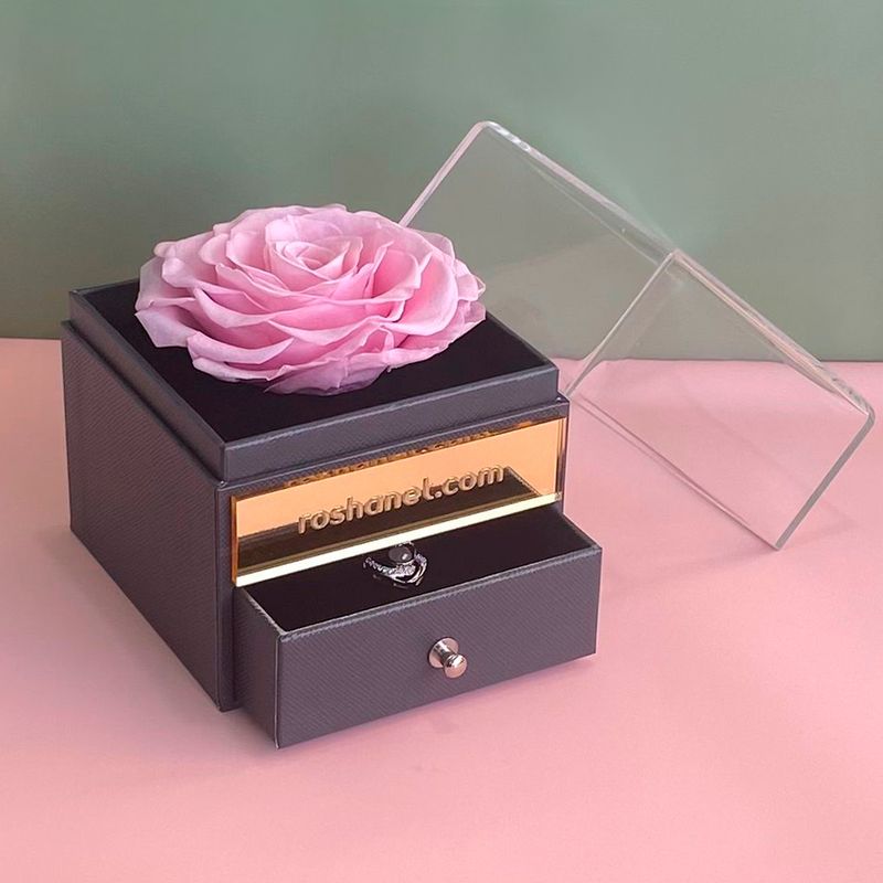 Rosa Rosada Preservada