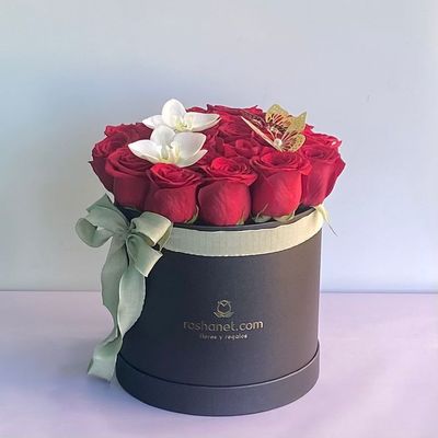 24 Rosas En Caja