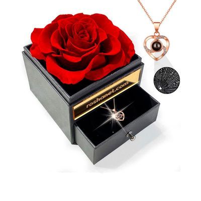 Rosa Roja Preservada