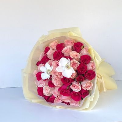 50 Rosas bicolor