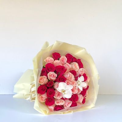 50 Rosas bicolor