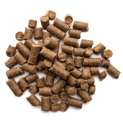 Cold-Pressed Pet Food