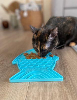 Feeding Accessories