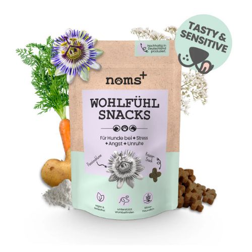Feel-Good Snacks for Dogs